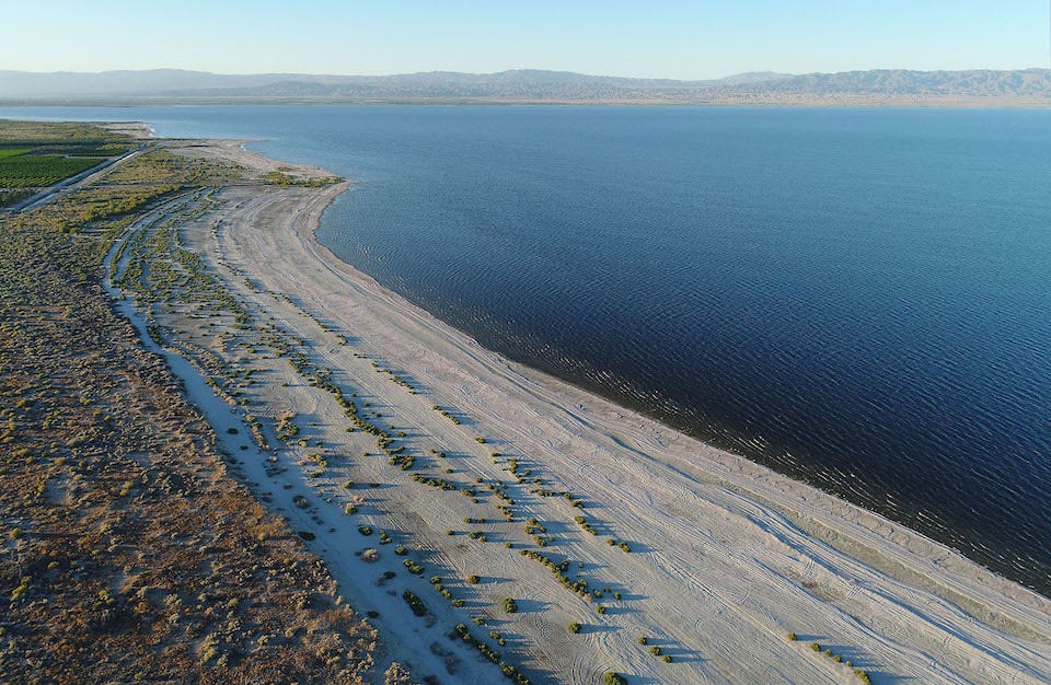 ELI5 Why are places like the Caspian and Dead seas considered seas